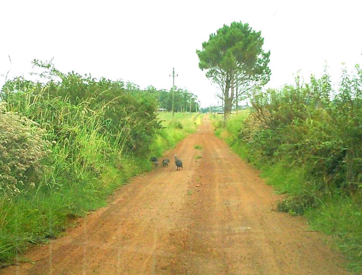 Отель Protea Wilds Retreat Harkerville Экстерьер фото