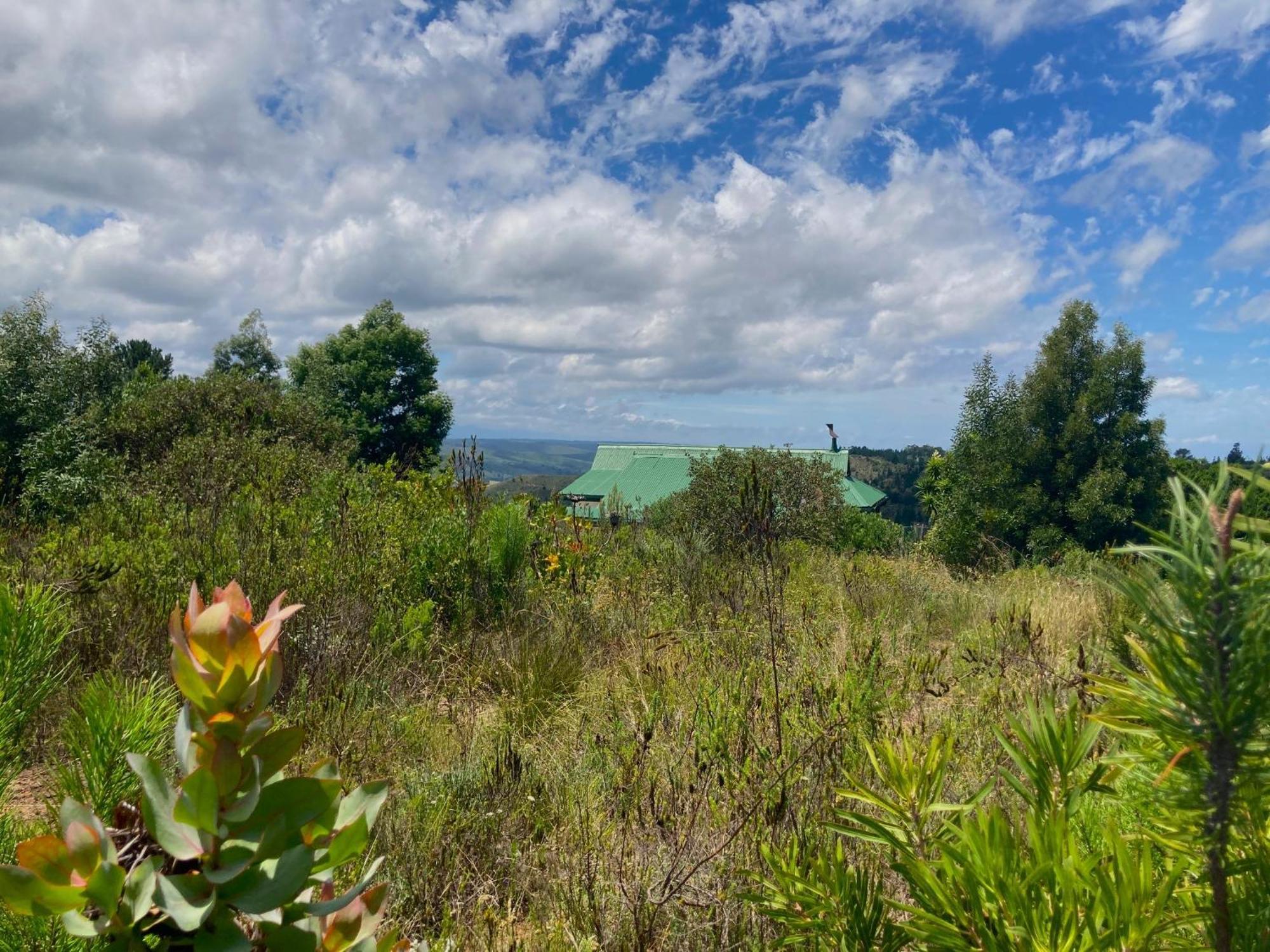 Отель Protea Wilds Retreat Harkerville Экстерьер фото