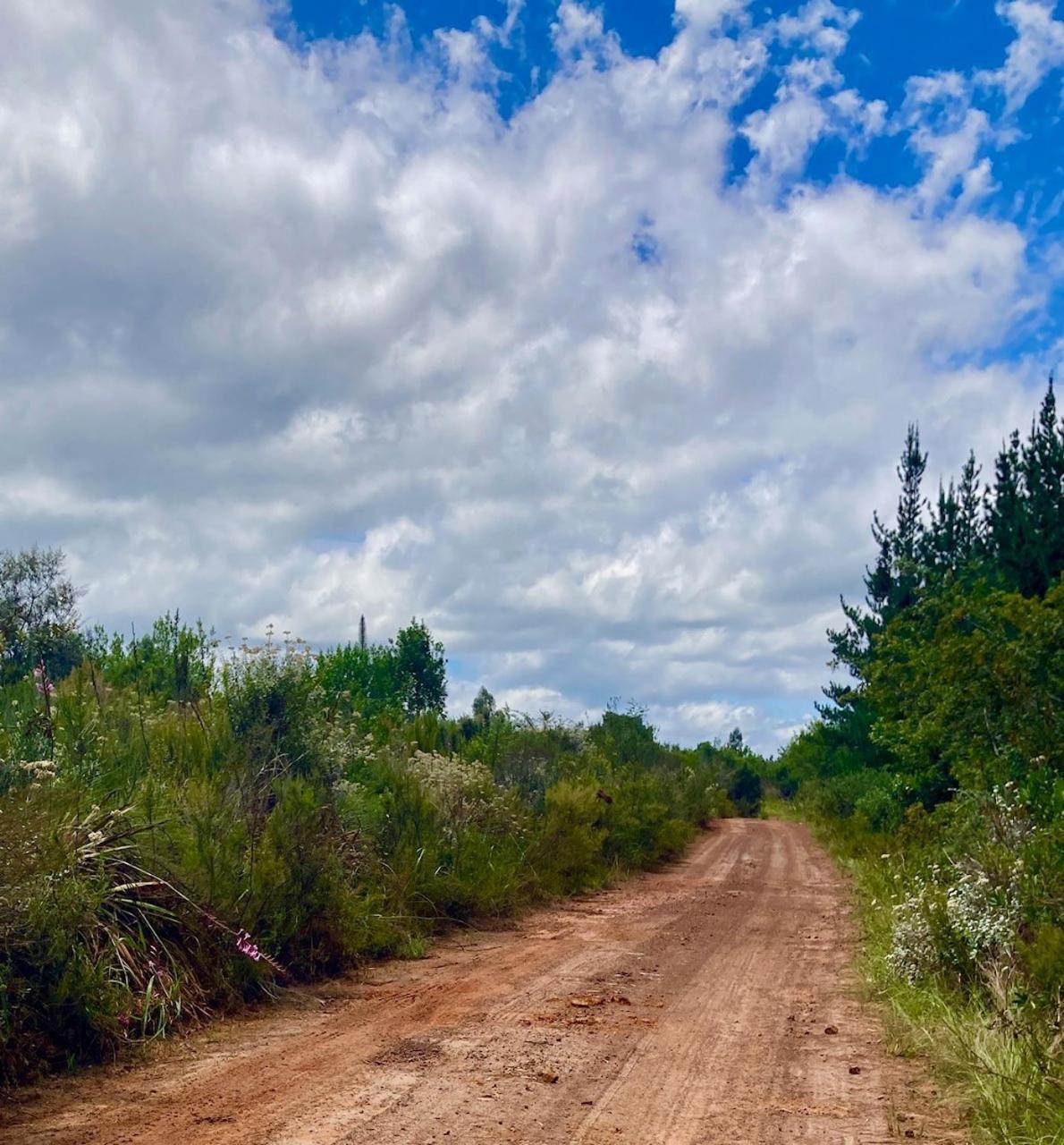 Отель Protea Wilds Retreat Harkerville Экстерьер фото